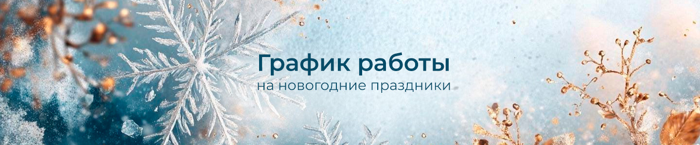 график работы на НГ