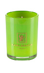 KARLSBACH: Ароматическая свеча  Rose Flowers Sea в светло-зеленом стакане