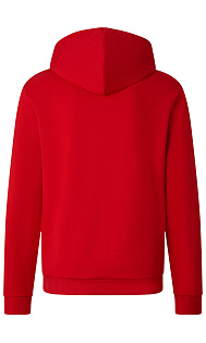 Толстовка с логотипом