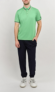 Поло с логотипом на рукаве