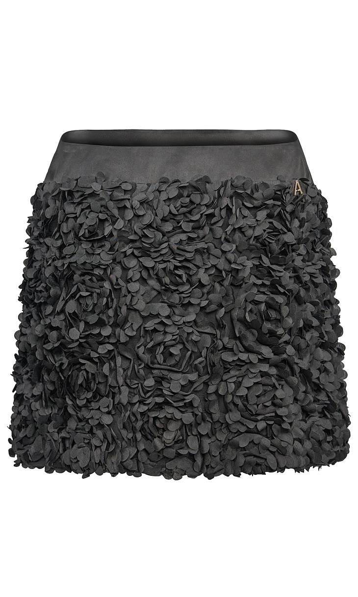 TWINSET: Юбка с аппликацией