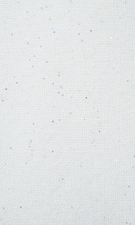 Топ с пайетками