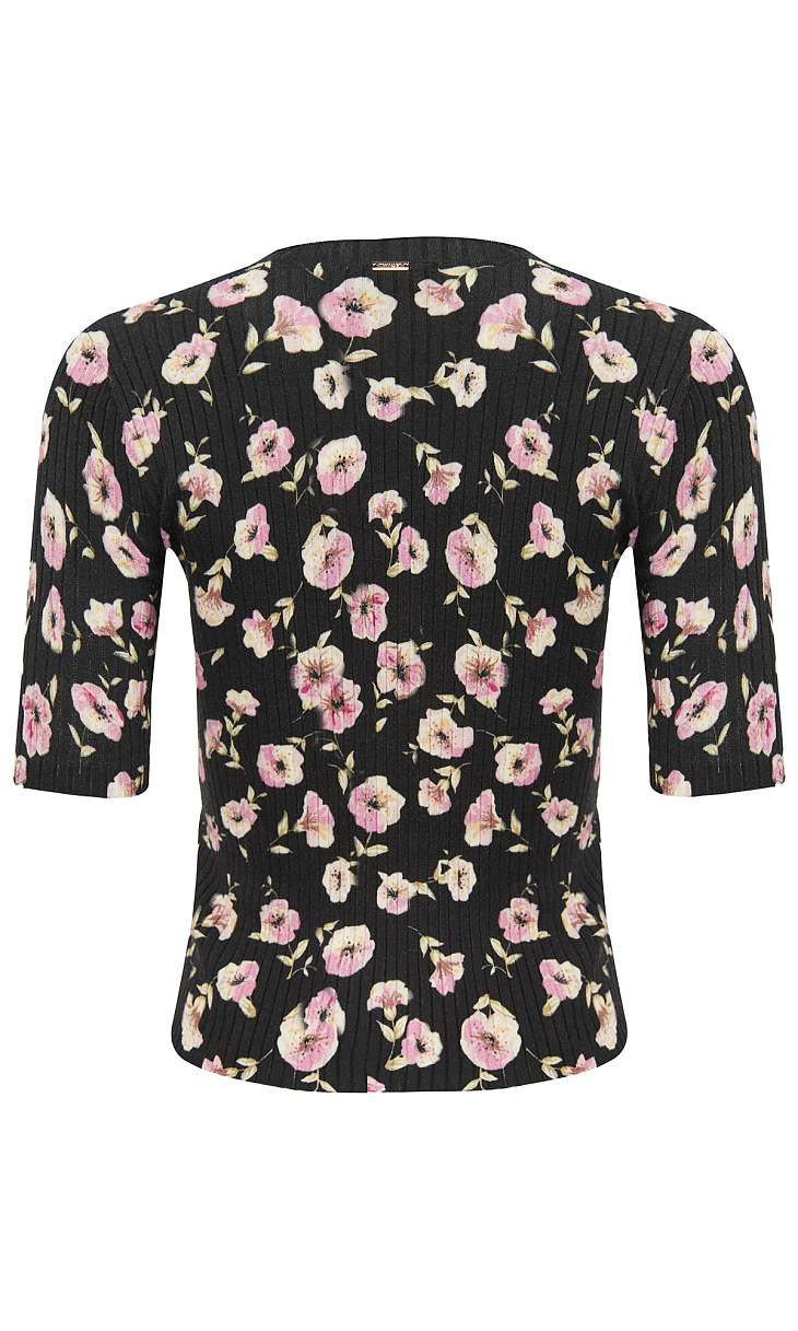 TWINSET: Пуловер с принтом