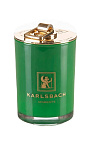 KARLSBACH: Ароматическая свеча Green Branches Magnalia в зеленом стакане